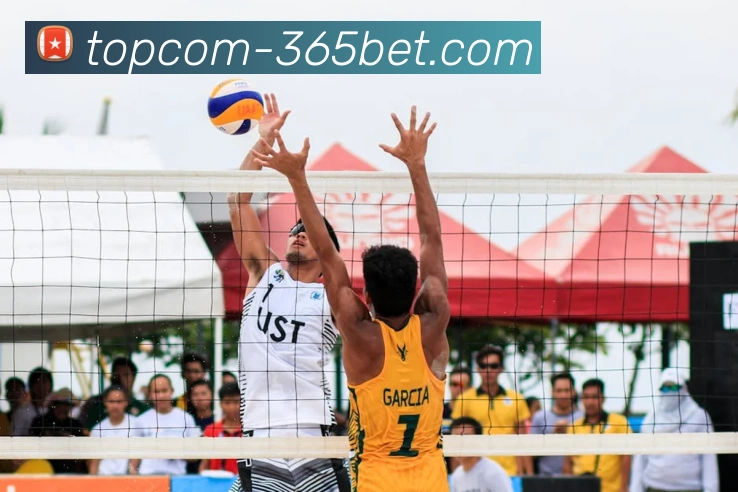 365bet平台生态图